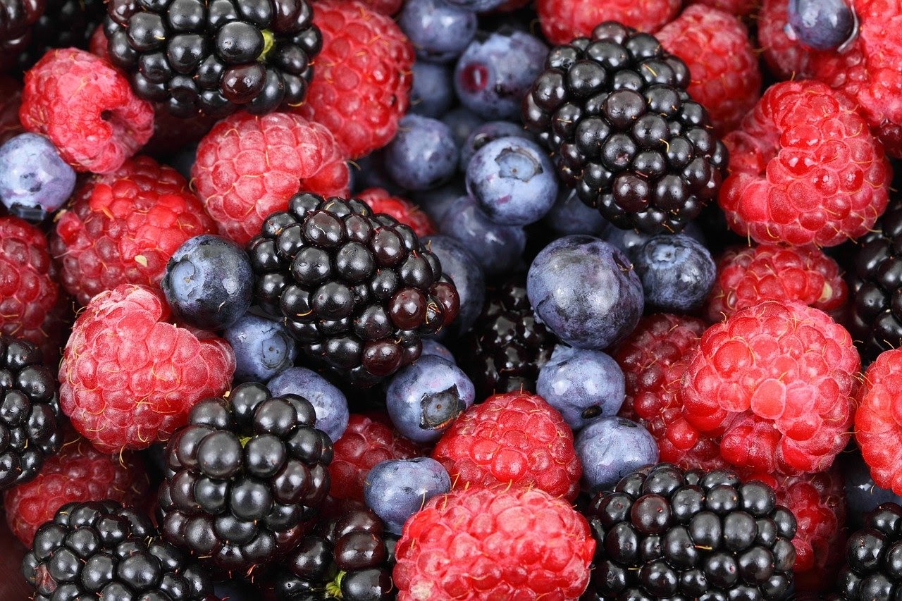 Can You Get Rid of Stubborn Belly Fat by Eating Plant-Based Foods?