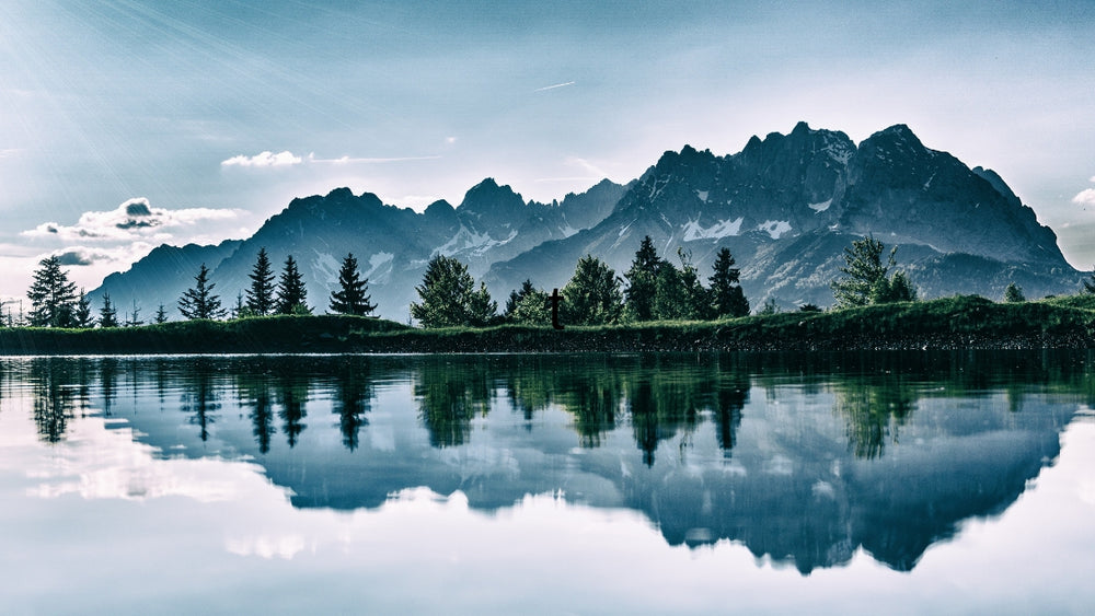 5 Ways Eating a Plant-Based Diet Reduces Environmental Impact