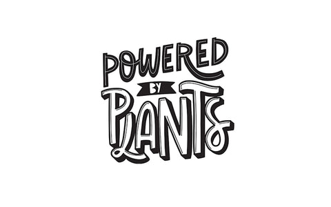 Powered by plants vegan meal delivery