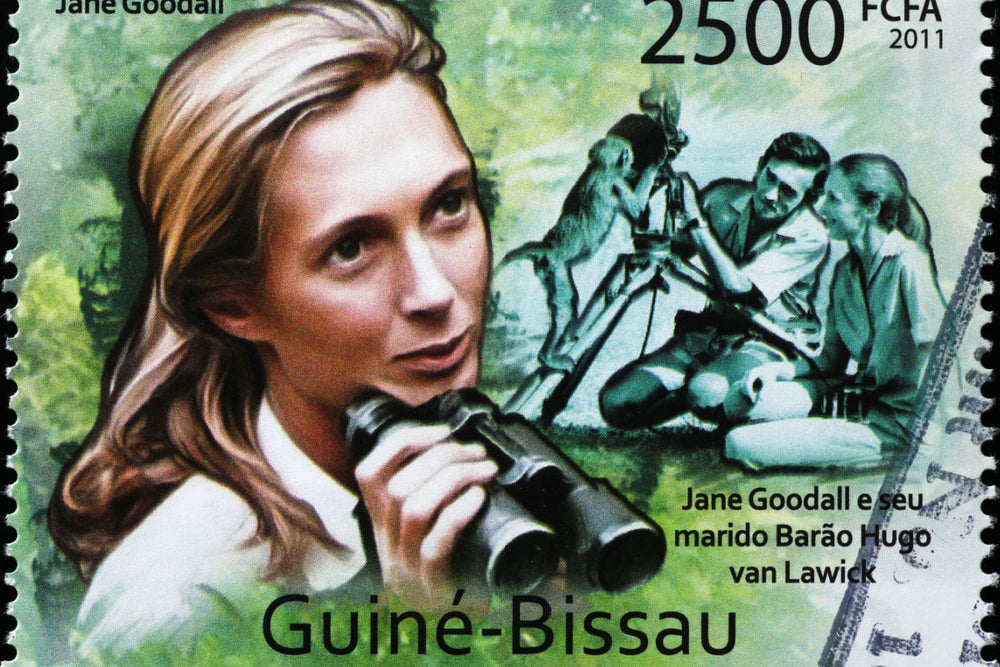 jane goodall is vegan