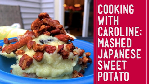 Plant Based Recipe Mashed Sweet Potato